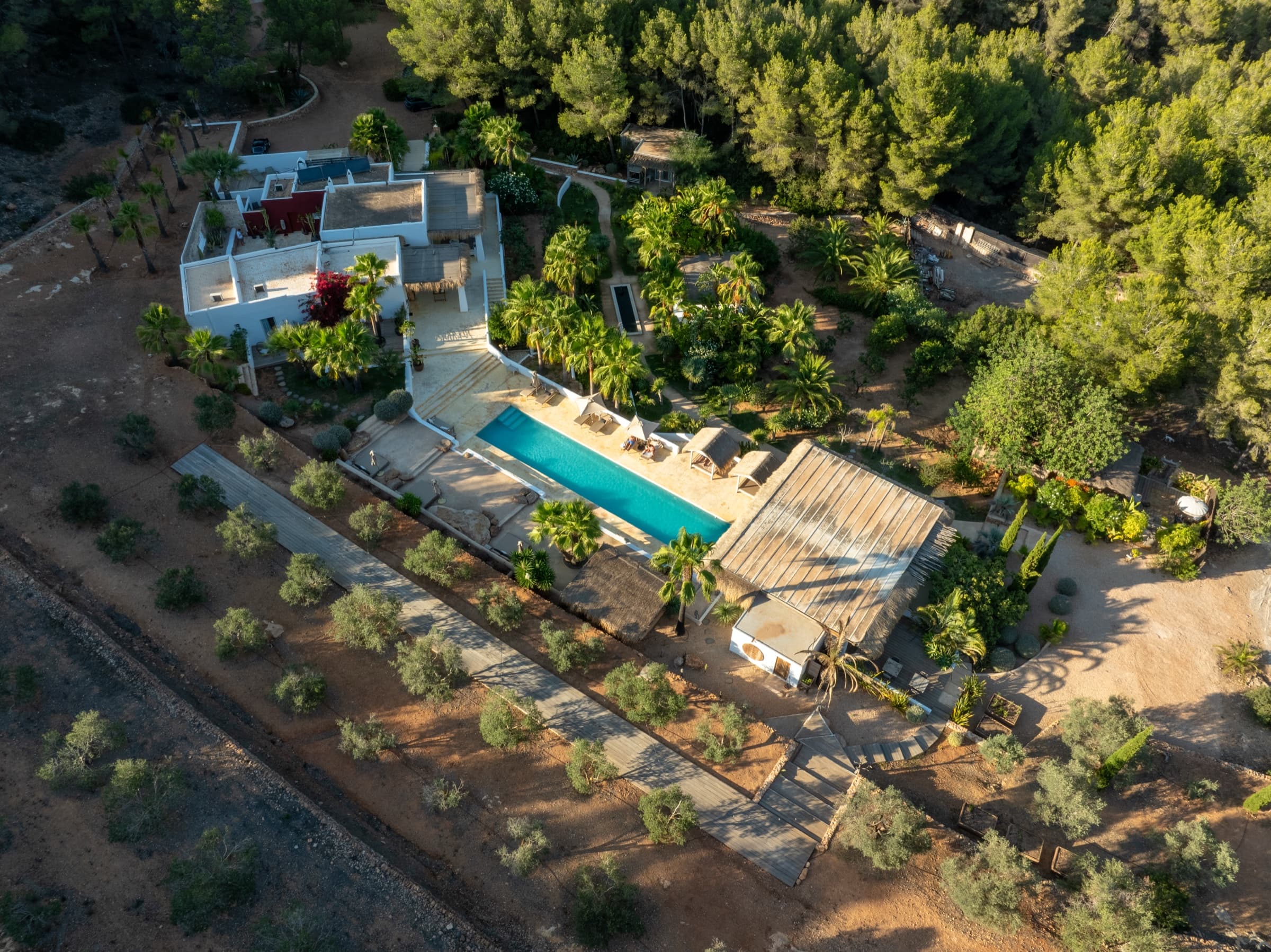 Aerial view of a villa estate with a swimming pool surrounded by palm trees